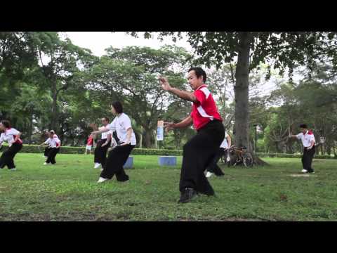 Master Daniel Tan's Taiji Montage