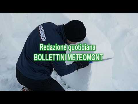 Un anno di attività dei Carabinieri Forestali nella regione Lazio - Il Quotidiano del Lazio