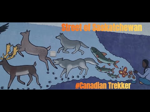 Street Graffiti Art: Epic Graffiti Art in Action. | Canada Streets Art.