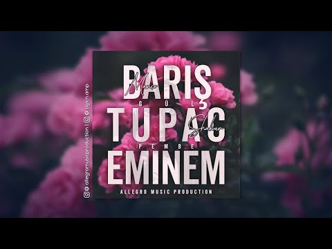Allegro & Barış Manço FT.2PacShakur & Eminem - Gül Pembe #134