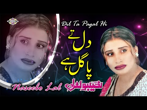 Dil Ta Pagal Hi 4k Video | Darda Bhari Naseebo Lal | MUSIC ART