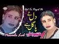 Dil Ta Pagal Hi 4k Video Darda Bhari Naseebo Lal MUSIC ART