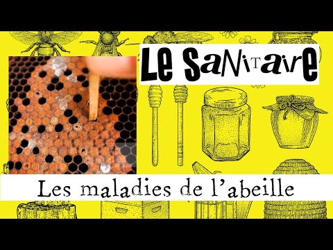 , title : 'Le sanitaire en apiculture 01 : Les maladies et acarioses'