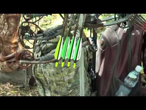 Ks Burza Borowa Wieś