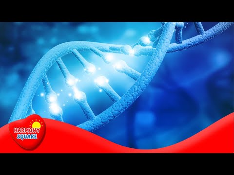 Molecular Clocks - More Grades 9-12 Science on the Learning Videos Channel