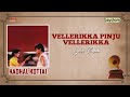 Vellerikka Pinju Vellerikka | Kadhal Kottai | Ajith | Devayani | Heera | Deva |