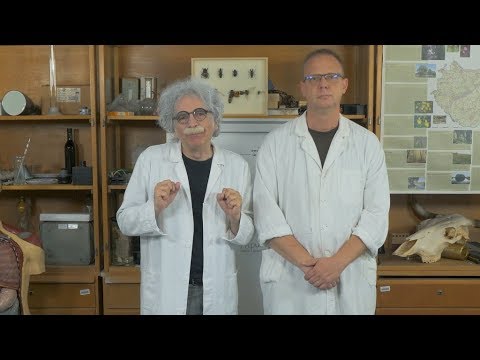 Világos Professzor - Biológia: Tűrőképesség