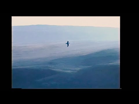 One Hill Further by Oisin Leech [Official Video] feat. Steve Gunn, Tony Garnier and Róisín McGrory