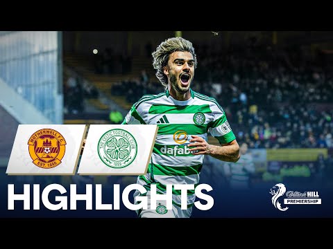 bg-highlight