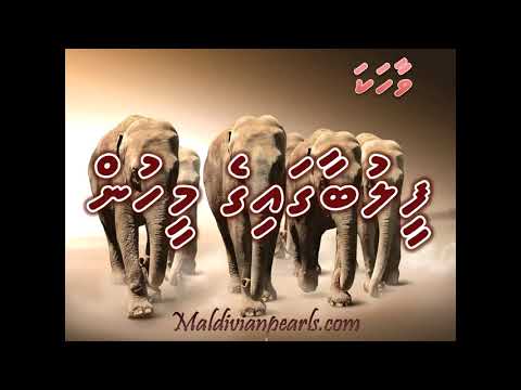 Feelu baagaige meehunge vaahaka