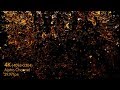 Coca Cola Dew Falling Motion Graphics Videohive Template