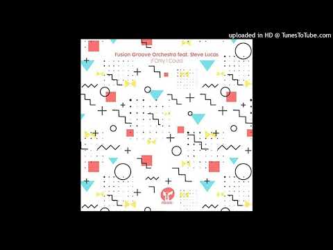 Fusion Groove Orchestra, Steve Lucas - If Only I Could (Liem Remix)