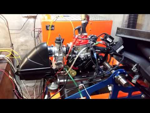 Rotax Max Evo Run