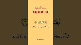 Download lagu Surah at-tin 🌹 | most beautiful voice | WhatsApp status | #shorts #quran #islamicvideo #surat #viral mp3 Download lagu Surah at-tin 🌹 | most beautiful voice | WhatsApp status | #shorts #quran #islamicvideo #surat #viral mp3