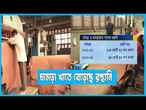 চারশো বিলিয়ন ডলারের বৈশ্বিক চামড়া বাজার