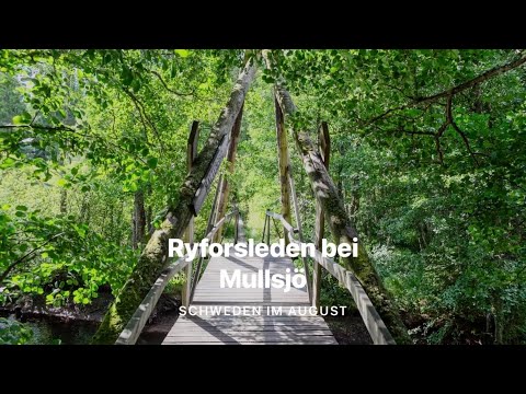 🇸🇪 Ryforsleben bei Mullsjö 