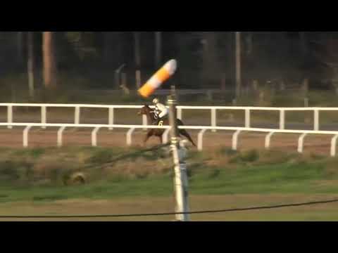 SINT MELO 230629 c08 - 1° ALCUZCUZ