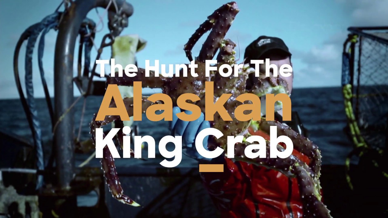 Deadliest Catch Season 13 | Promo | Starts 4 January 10 PM