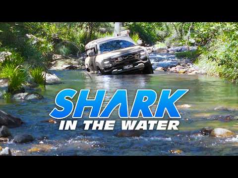Electric 4WD vs Water: BYD Shark Takes On 30 River Crossings