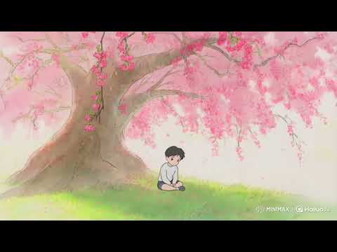 Peaceful Anime Boy Under Cherry Blossoms 🌸 | Studio Ghibli AI Art