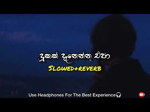 Dukak Danenna Epa|දුකක් දැනෙන්න එපා|Slowed+Reverb|Mood music LK