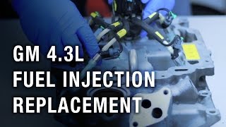 GM 4.3 Liter Fuel Injection Replacement