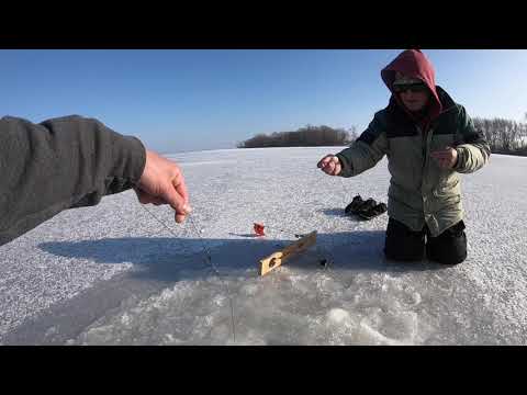 BIG Northern Pike in Shallow Water