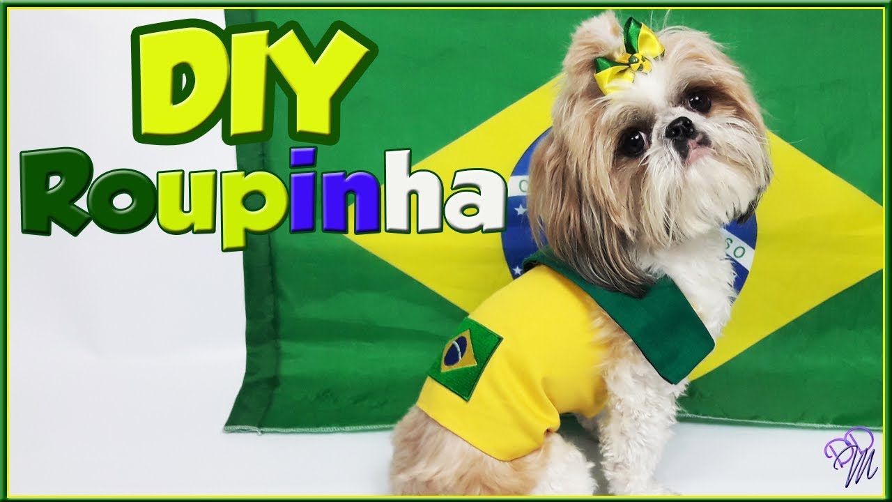 Watch Now DIY ROUPINHA DO BRASIL PARA CACHORRO DIY ROUPINHA DO BRASIL PARA CACHORRO