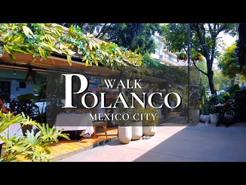 Polanco, Mexico City Walking Tour of Luxury Neighborhood, Polanquito, Museums & Much More! 👠🌮