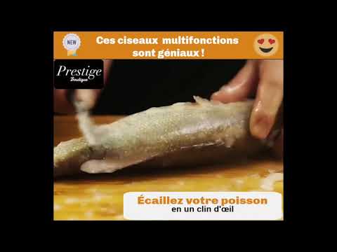 Ciseaux de Cuisine Multifonctions