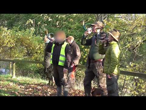 Das Hornblasen an der Strecke