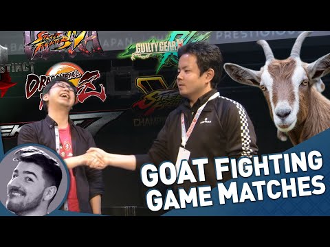 What Are the Greatest of All Time Fighting Game Sets?