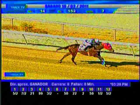 Resumen sábado 19 de febrero 2011 - La Rinconada