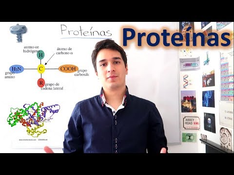 Proteins and Amino acids. AN ENTIRE MONTH OF CLASS IN 10 MINUTES