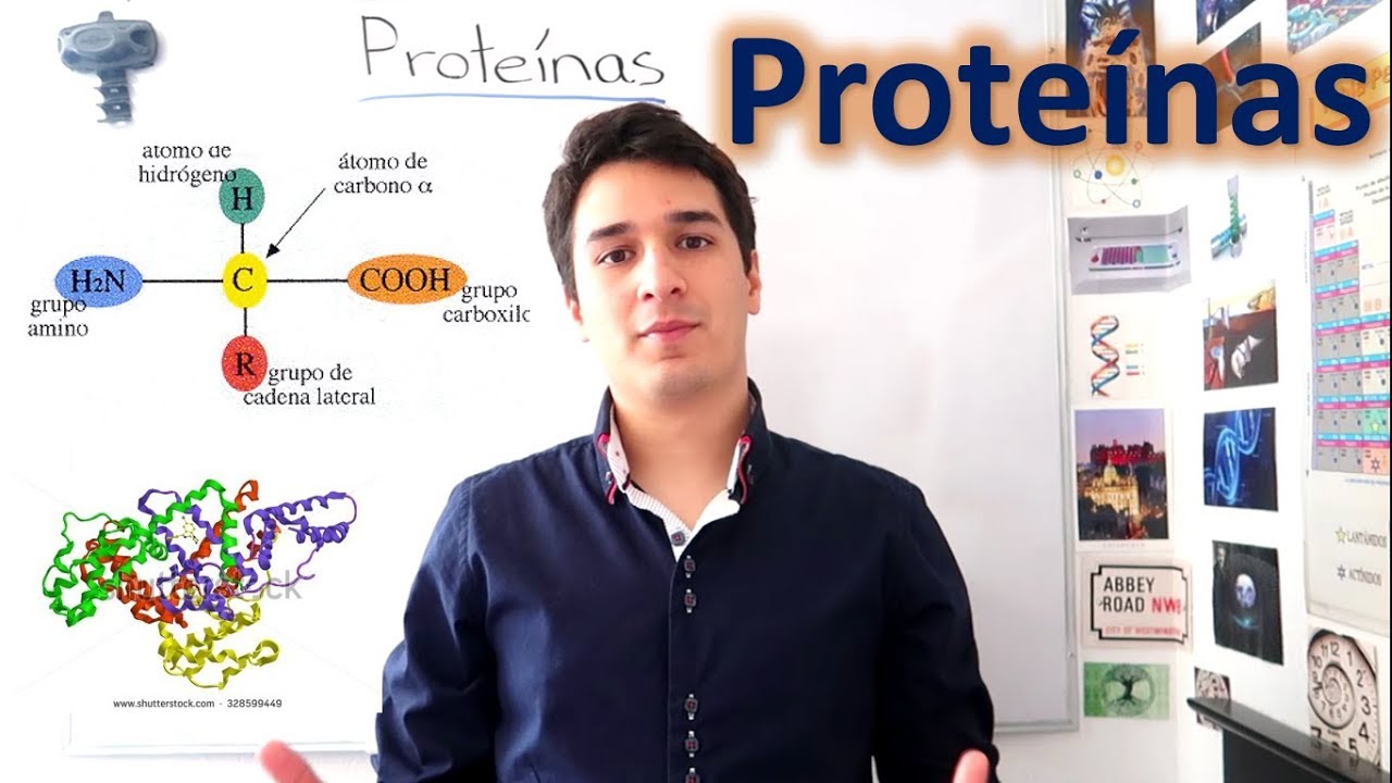 Proteínas y Aminoácidos. UN MES DE CLASES EN 10 MINUTOS