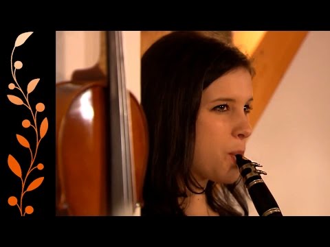 Bara zenekar - Mezőföldi muzsika