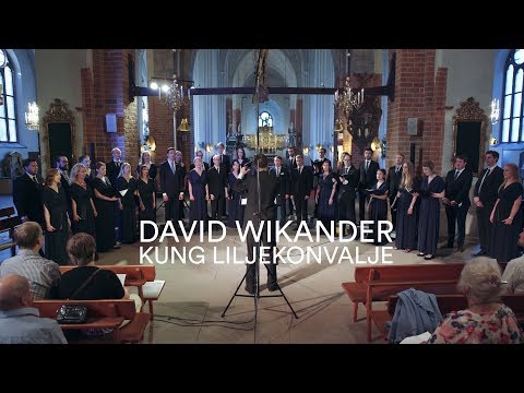 David Wikander - Kung liljekonvalje