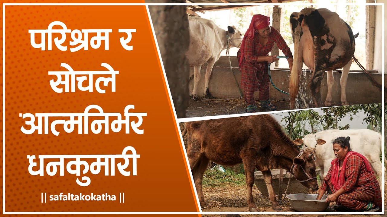 परिश्रम र सोचले आत्मनिर्भर धनकुमारी • सफलताको कथा •