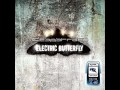 Desastroes- Electric Butterfly 