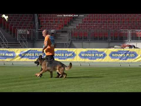 1050 Yankee di Casa Beggiato - TSB BSZS-2023