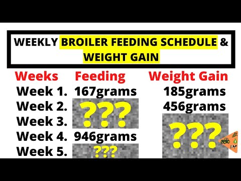 , title : 'BROILERS FEEDING PROGRAM SCHEDULE AND WEIGHT GAIN CHART'