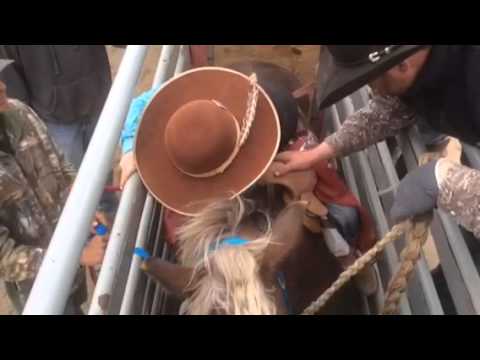 Thumbnail for L3S Cowboys...Born To Follow Rodeo. Song By Chris LeDoux by Chris LeDoux