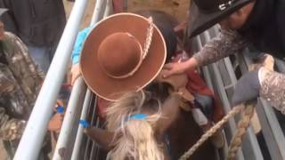 L3S Cowboys...Born To Follow Rodeo. Song By Chris LeDoux