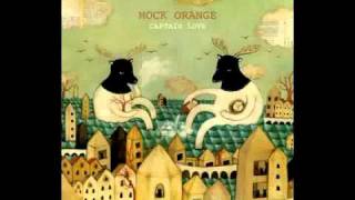 Mock Orange - Captain Love