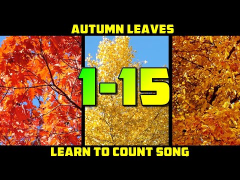 LEARN TO COUNT 1-15 SONG | Autumn counting song for kids