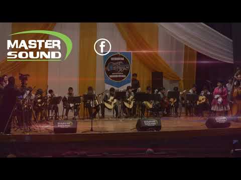 CONCURSO DE ESTUDIANTINAS 2018 - UNAP - GEOLOGÍA