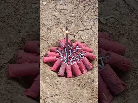 "Crackers Around the World – Taste Test!"  #crakers #entertainment #experiment #258