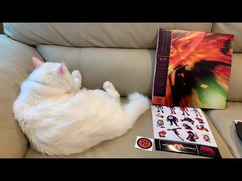 Radiant Silvergun VINYL + Disinterested Cat