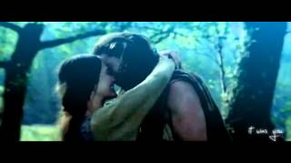 Within temptation Swan Song -Braveheart (With lyrics)