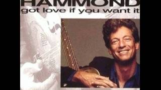 John Hammond - Got Love If You Want It
